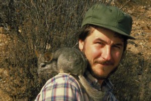 Wild chinchilla sales